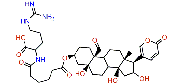 3-(N-Adipoyl argininyl)-hellebrigenin